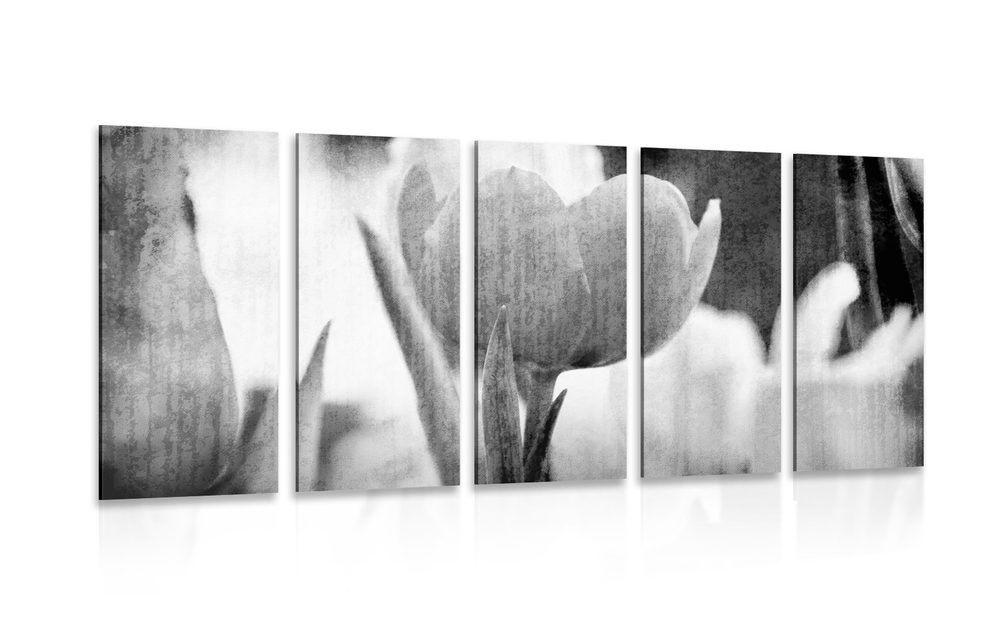5-dielny obraz lúka tulipánov v retro štýle v čiernobielom prevedení - 100x50