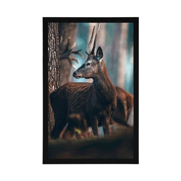 Plagát jeleň v borovicovom lese - 40x60 black