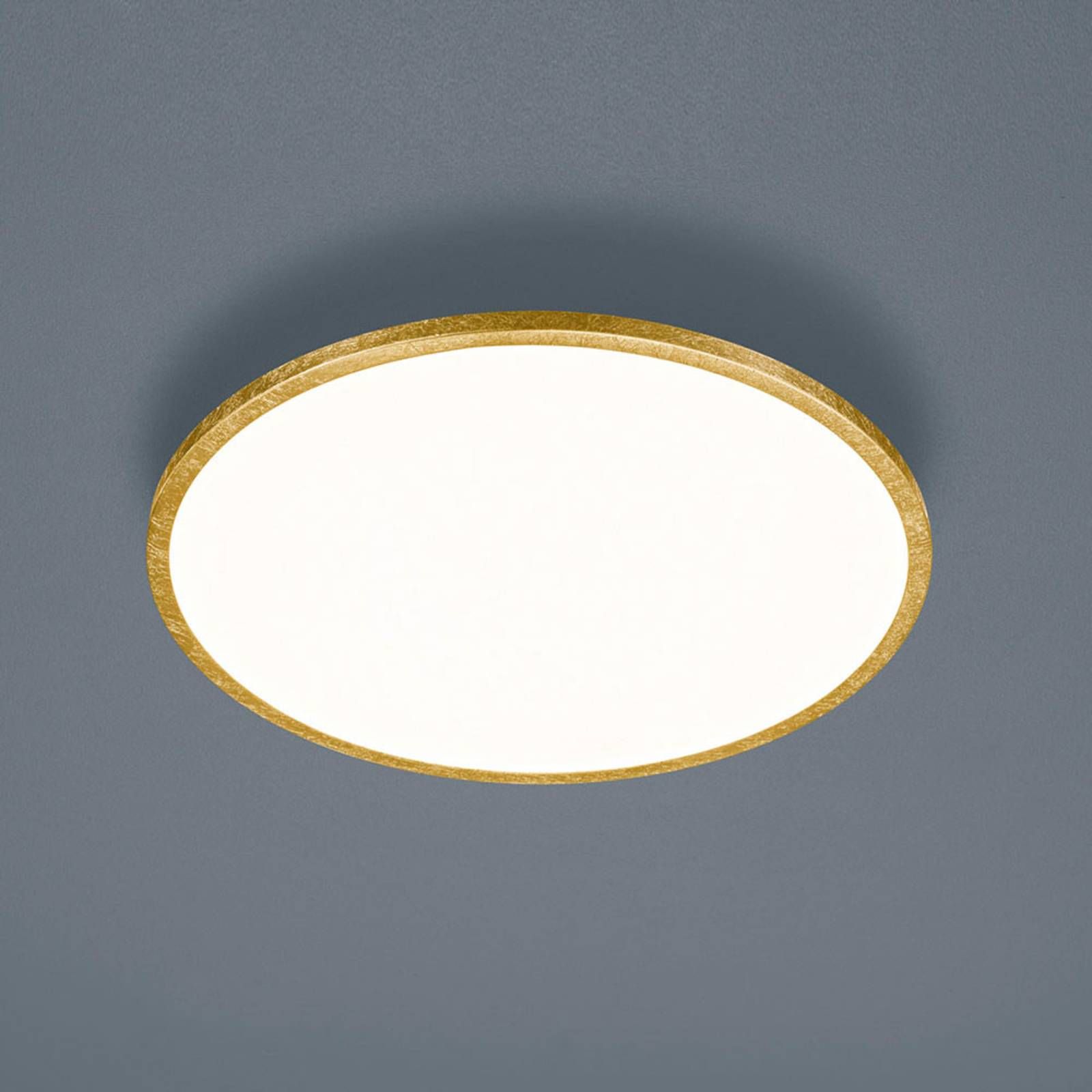 Helestra Rack stropné LED stmieva okrúhle zlaté, Chodba, kov, akryl, 20W, K: 3.5cm