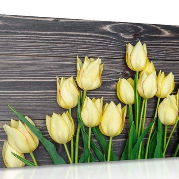 Obraz očarujúce žlté tulipány na drevenom podklade - 120x80