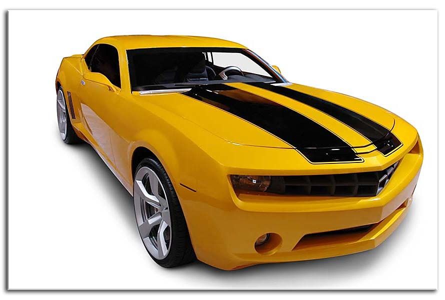 Obraz Bumblebee zs29391