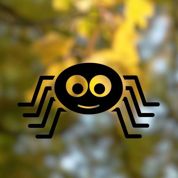 Pieris design Pavúk - jesenná nálepka na okno studená zelená