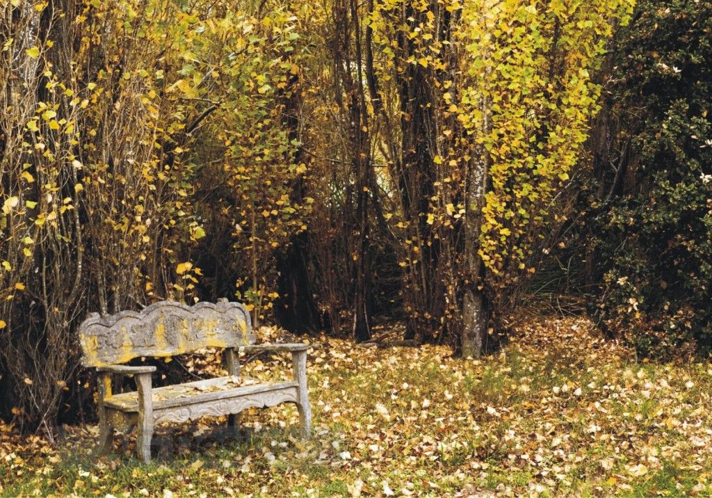 Obrazová fototapety na stenu štvordielna FT 0324 Lavička a stromy na jeseň