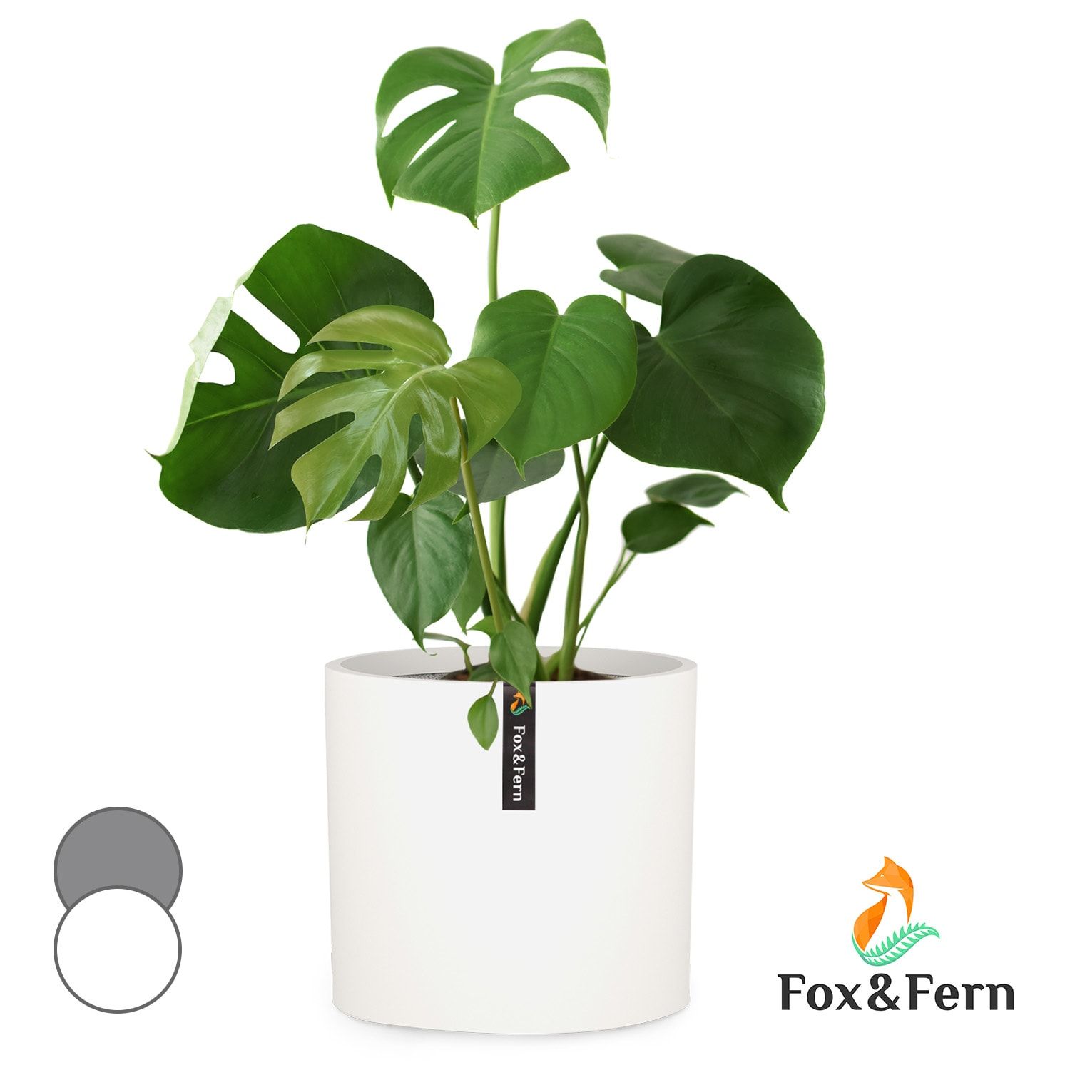 Fox & Fern Venlo, kvetináč, Polystone, interiér a exteriér, 3 veľkosti