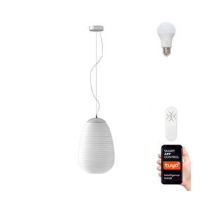 Immax NEO 07066L - LED RGBW Stmievateľný luster COCONO 1xE27/8,5W/100-240V 24 cm