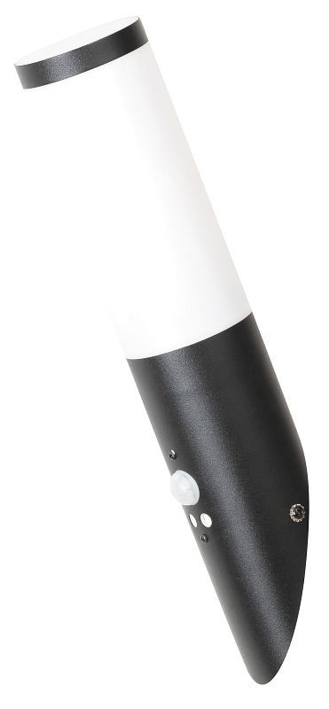 RABALUX 8146 Black torch exteriérové nástenné svietidlo so senzorom 1xE27 matná čierna
