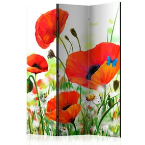 Artgeist Paraván - Country poppies [Room Dividers]