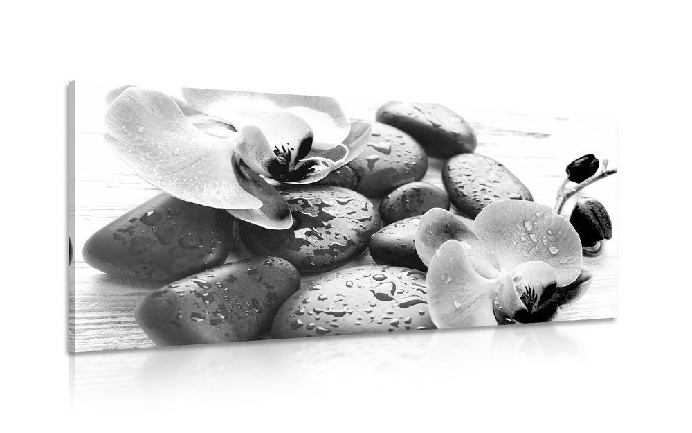 Obraz kúzelná súhra kameňov a orchidey v čiernobielom prevedení - 120x60