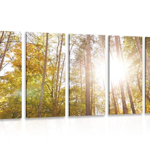 5-dielny obraz les v jesenných farbách - 100x50