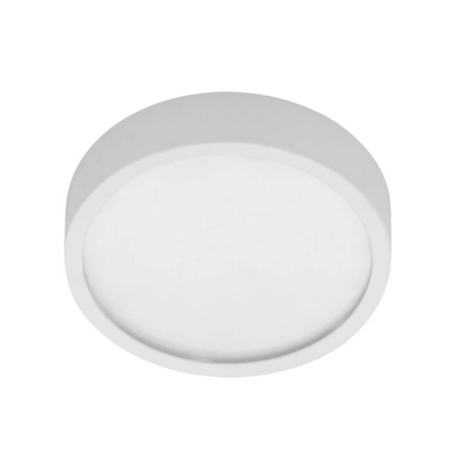 EGG Stropné LED svietidlo okrúhle BAP, 14W 4 000 K, Chodba, oceľový plech, polykarbonát, 14W, K: 4.1cm