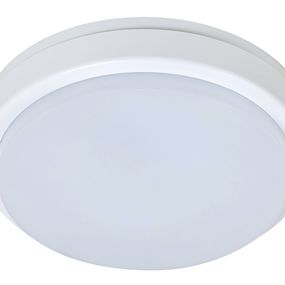 Rabalux 2497 LOKI stropné exteriérové svietidlo LED=15W 1100lm 4000K IP54