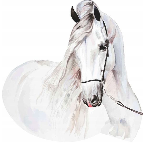 Samolepka na stenu s motívom bieleho koňa