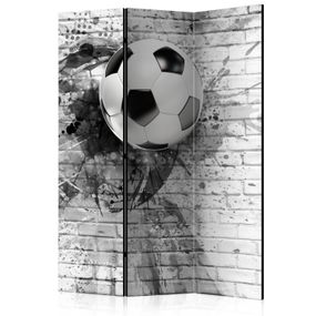 Artgeist Paraván - Dynamic Football [Room Dividers]