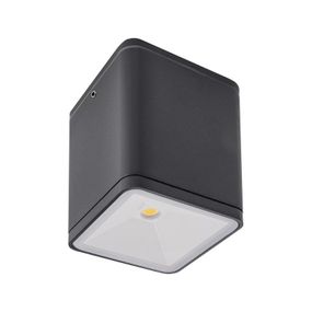 REDO 9198 BETA stropné exteriérové svietidlo LED 1 x 6W 580lm IP54 3000K