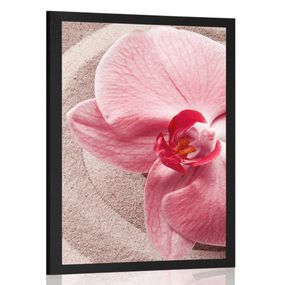 Plagát morský piesok a ružová orchidea - 40x60 white