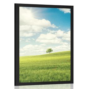 Plagát nádherný slnečný deň na lúke - 40x60 black