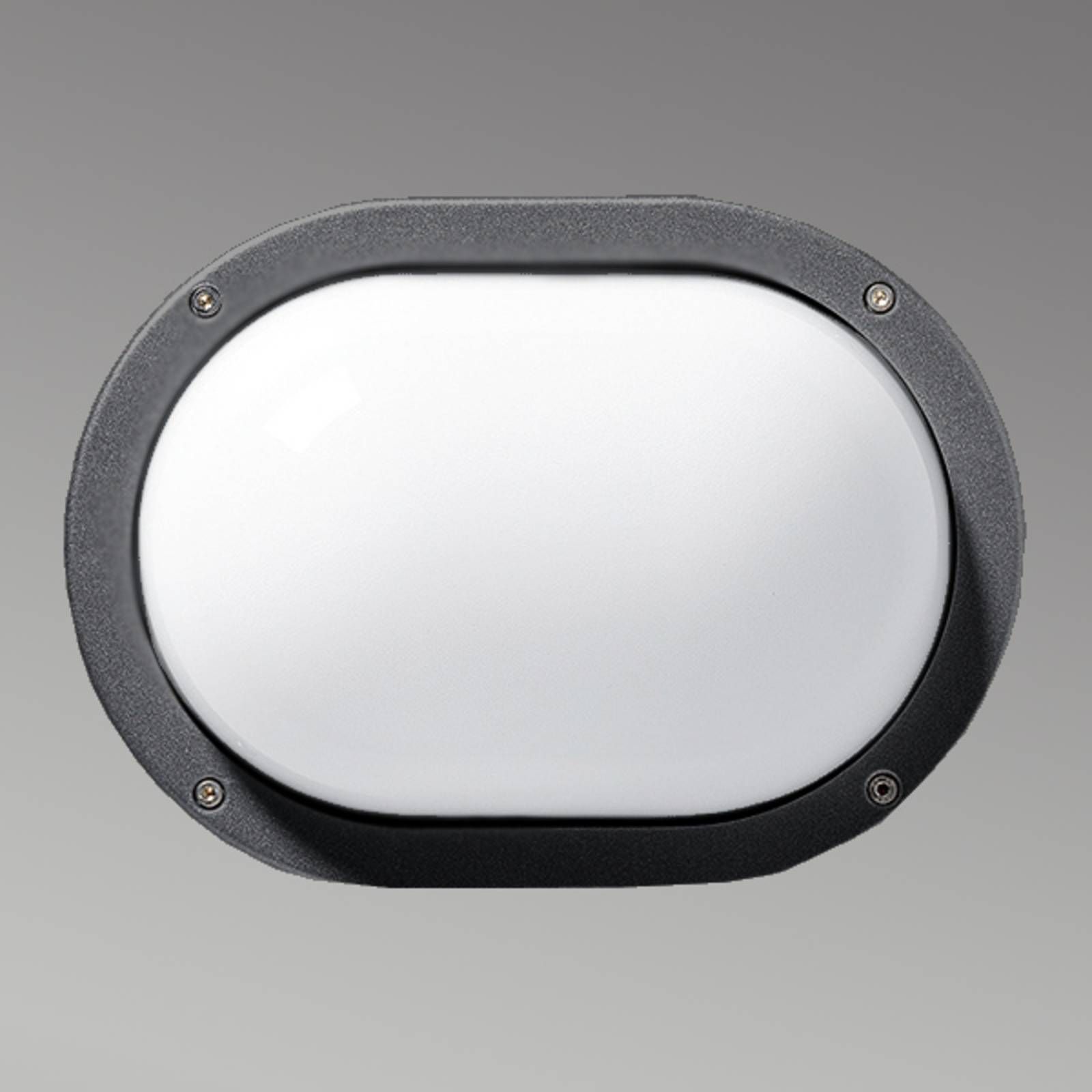Performance in Lighting Vonkajšie nástenné svietidlo EKO antracit, hliník, sklo, E27, 60W, P: 25.4 cm, L: 18.7 cm
