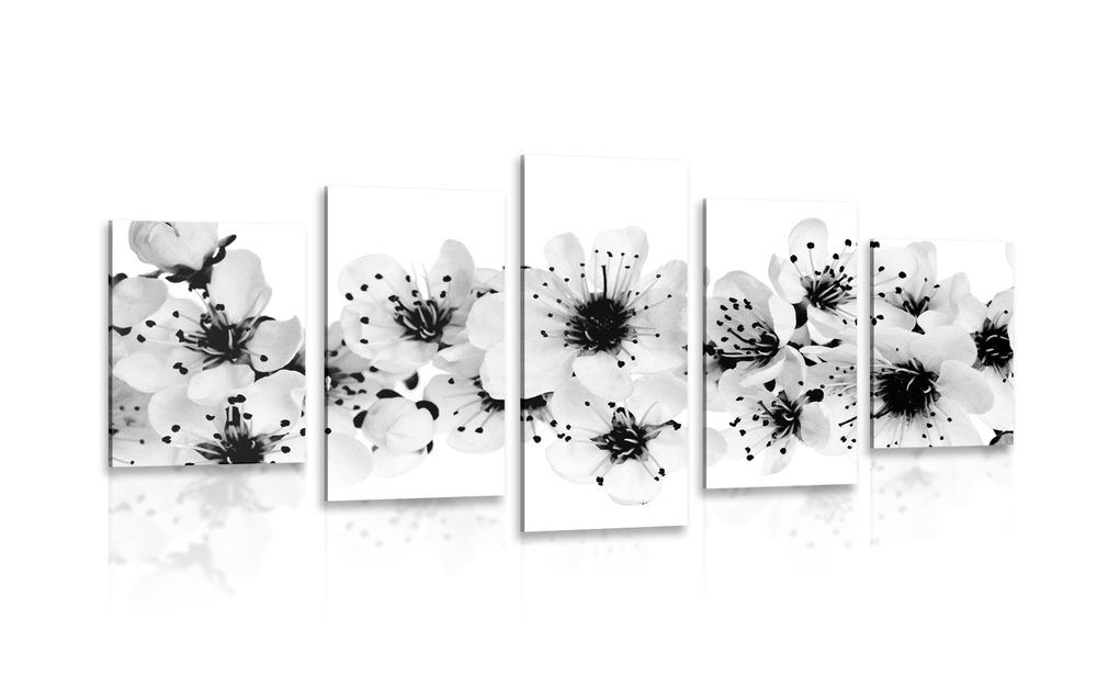 5-dielny obraz čerešňové kvety v čiernobielom prevedení - 100x50