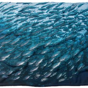 Deka Hejno rýb  (Rozmer: 200 x 140 cm, Podšitie baránkom: NE)