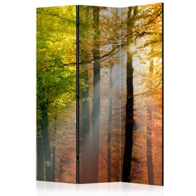 Artgeist Paraván - Forest Colours [Room Dividers]