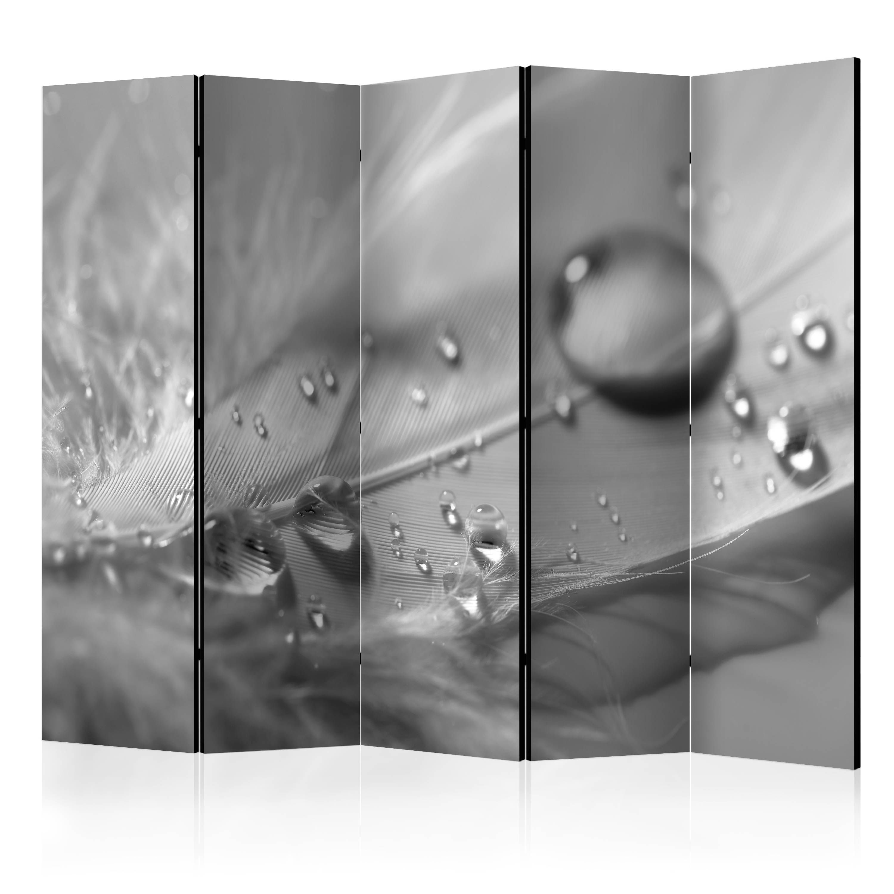 Artgeist Paraván - Grey Feather II [Room Dividers]