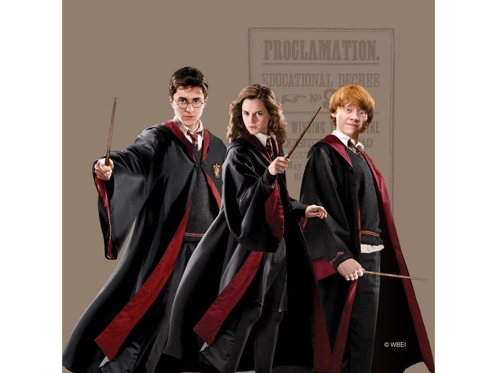 CND 3155 AG Design Foto vankúš Harry Potter, veľkosť 40 x 40 cm