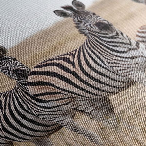 Obraz tri zebry v savane - 120x80