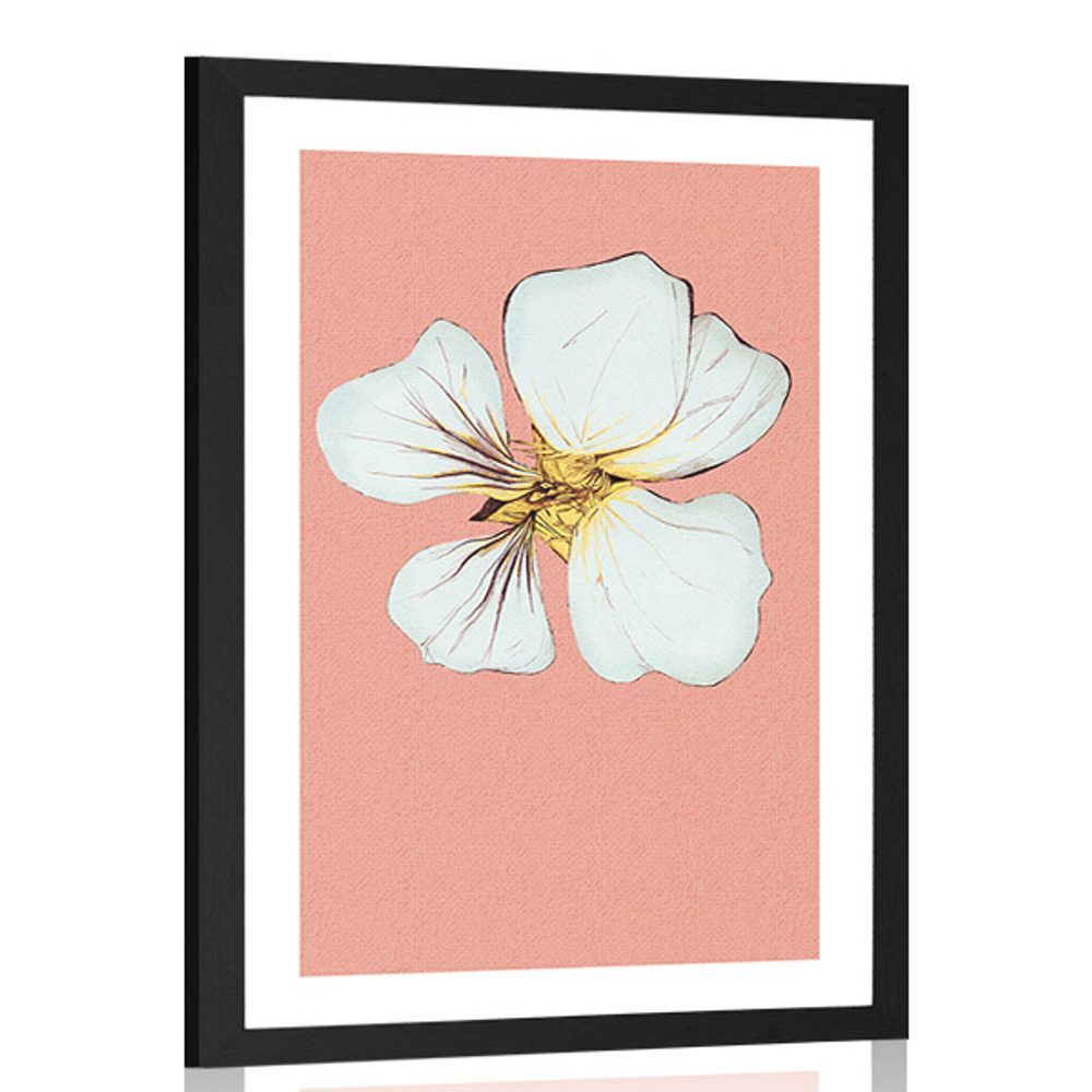 Plagát s paspartou nežnosť kvetu kapucínky - 60x90 white