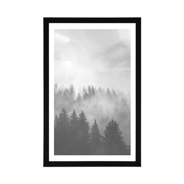 Plagát s paspartou hmla nad lesom v čiernobielom prevedení - 60x90 white