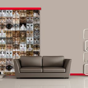 FCP L 6567 AG Design textilný foto záves obrazový Cats - Mačky FCPL 6567, veľkosť 140 x 245 cm