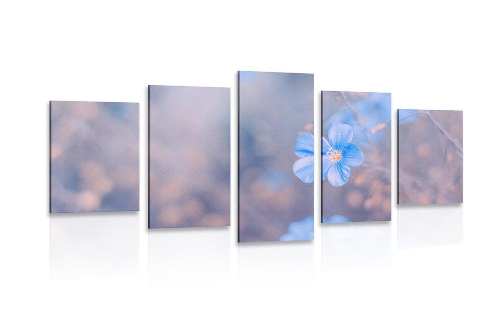 5-dielny obraz modré kvety na vintage pozadí - 100x50