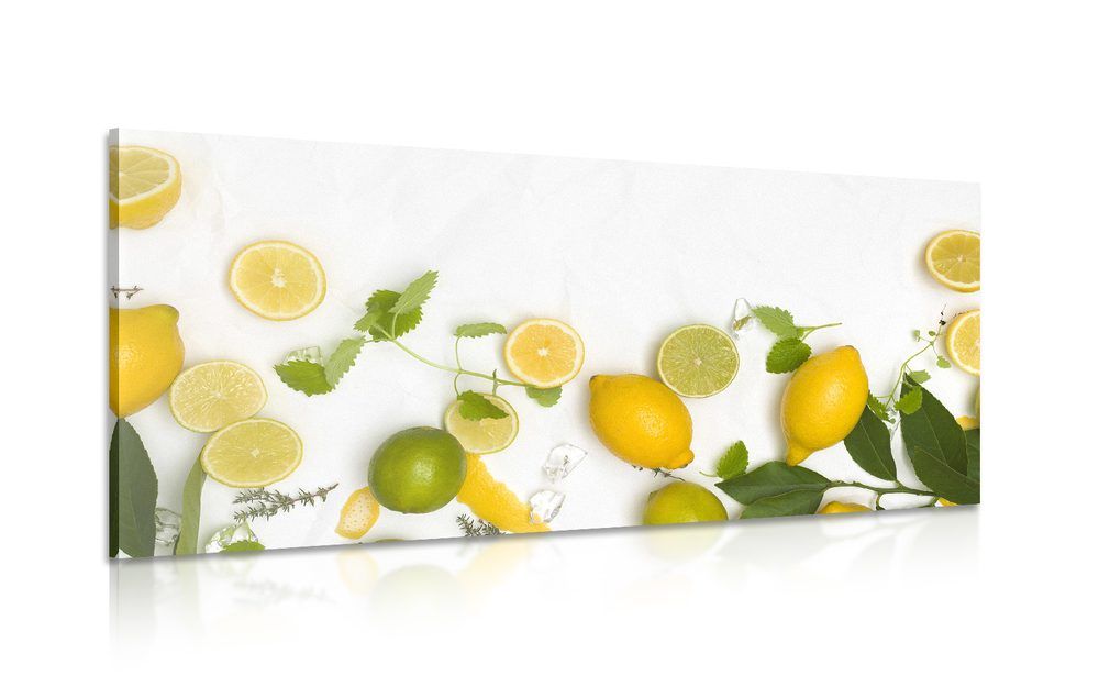 Obraz mix citrusových plodov - 120x60