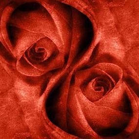 Ruže Fototapety 4400 - latexová