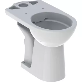 Geberit Selvano Comfort - Stojacie WC pre splachovaciu nádržku umiestnenú na WC mise, s hlbokým splachovaním, Rimfree 500.486.01.1