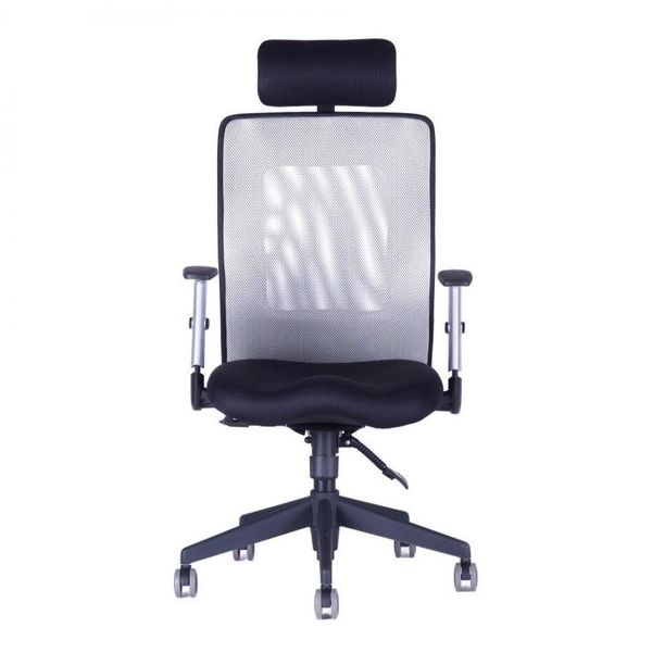 OFFICE PRO -  OFFICE PRO Kancelárska stolička CALYPSO XL SP1 sivá svetlá