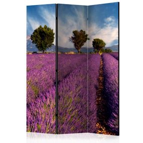 Artgeist Paraván - Lavender field in Provence, France [Room Dividers]