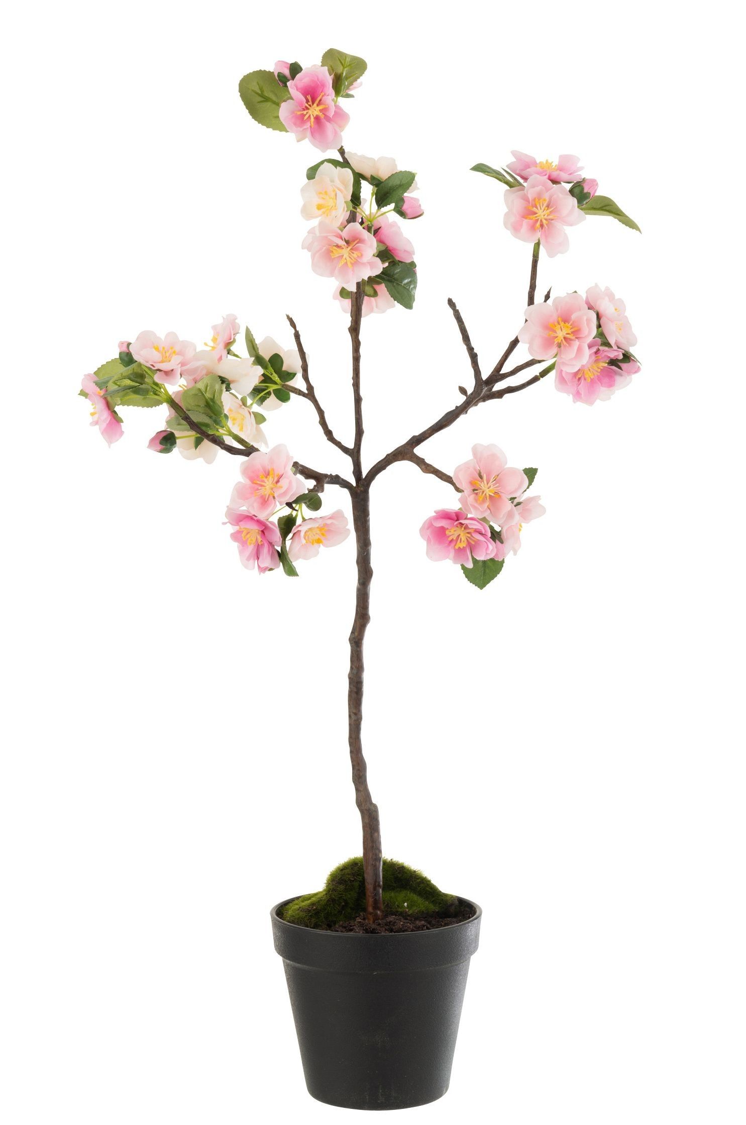 Dekorácie umelý ružový kvitnúce stromček Blossom  - 20 * 20 * 50 cm