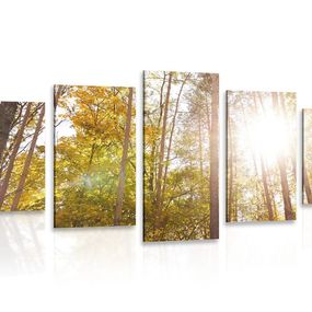 5-dielny obraz les v jesenných farbách
