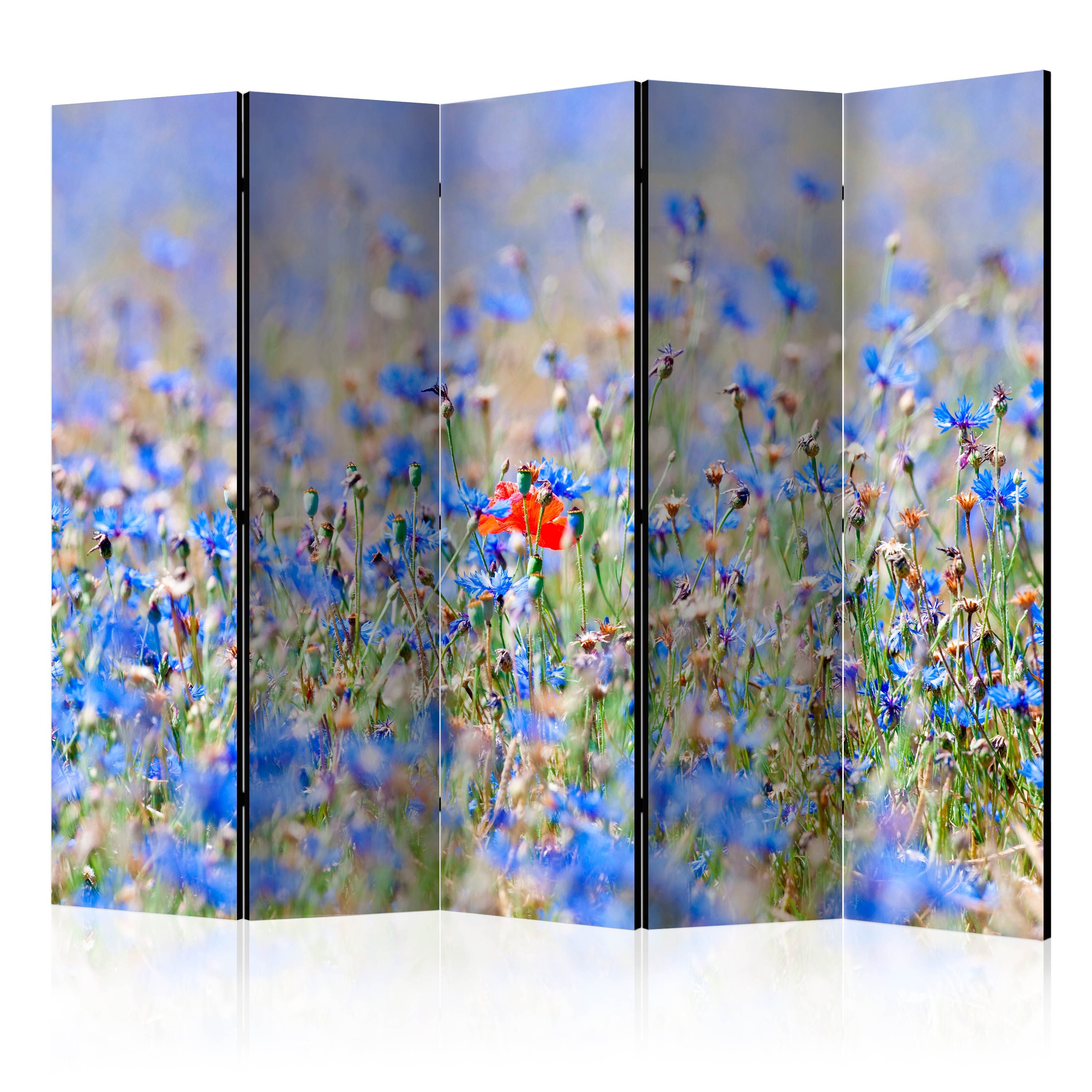 Artgeist Paraván - A sky-colored meadow - cornflowers [Room Dividers]