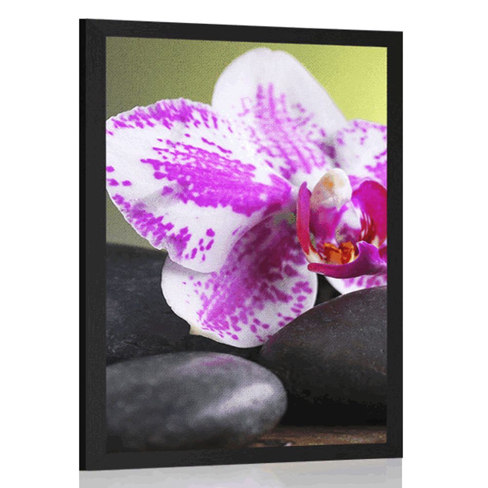 Plagát orchidea a čierne kamene - 40x60 black