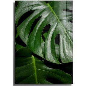 Sklenený obraz 70x100 cm Monstera - Wallity