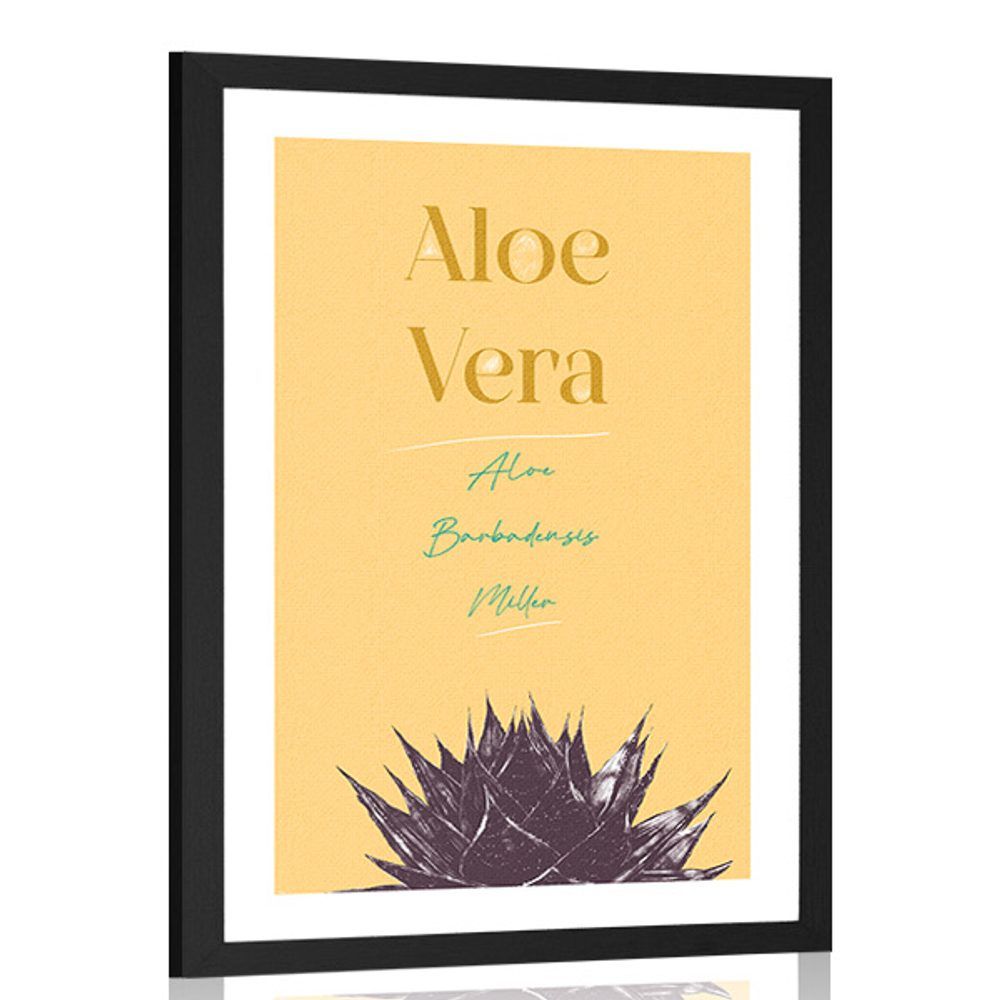 Plagát s paspartou a štýlovým nápisom Aloe Vera - 60x90 black