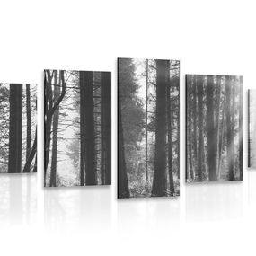 5-dielny obraz les zaliaty slnkom v čiernobielom prevedení