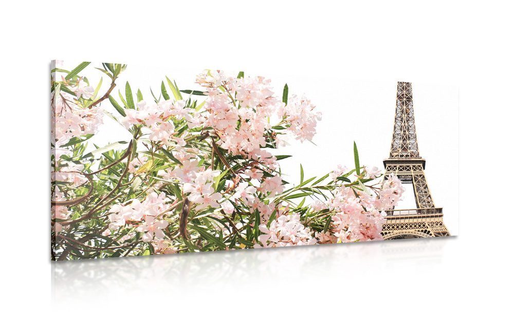 Obraz Eiffelova veža a ružové kvety - 100x50