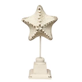Dekorácie morská hviezdica - 15 * 9 * 32 cm