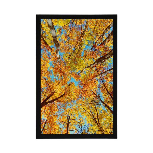 Plagát jesenné koruny stromov