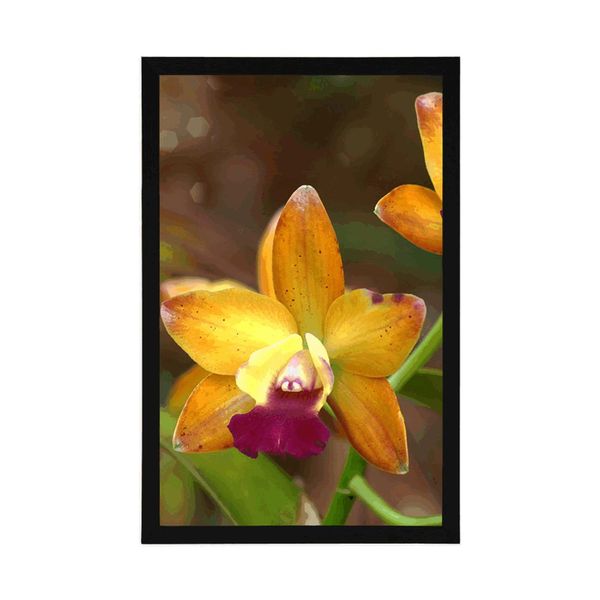 Plagát oranžová orchidea - 20x30 silver