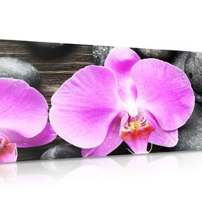 Obraz nádherná orchidea a kamene - 120x60