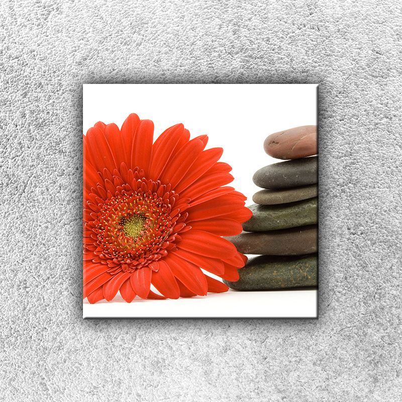 Foto na plátno Gerbera s kameňmi 2 30x30 cm