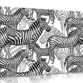 Obraz ríša zebier v čiernobielom